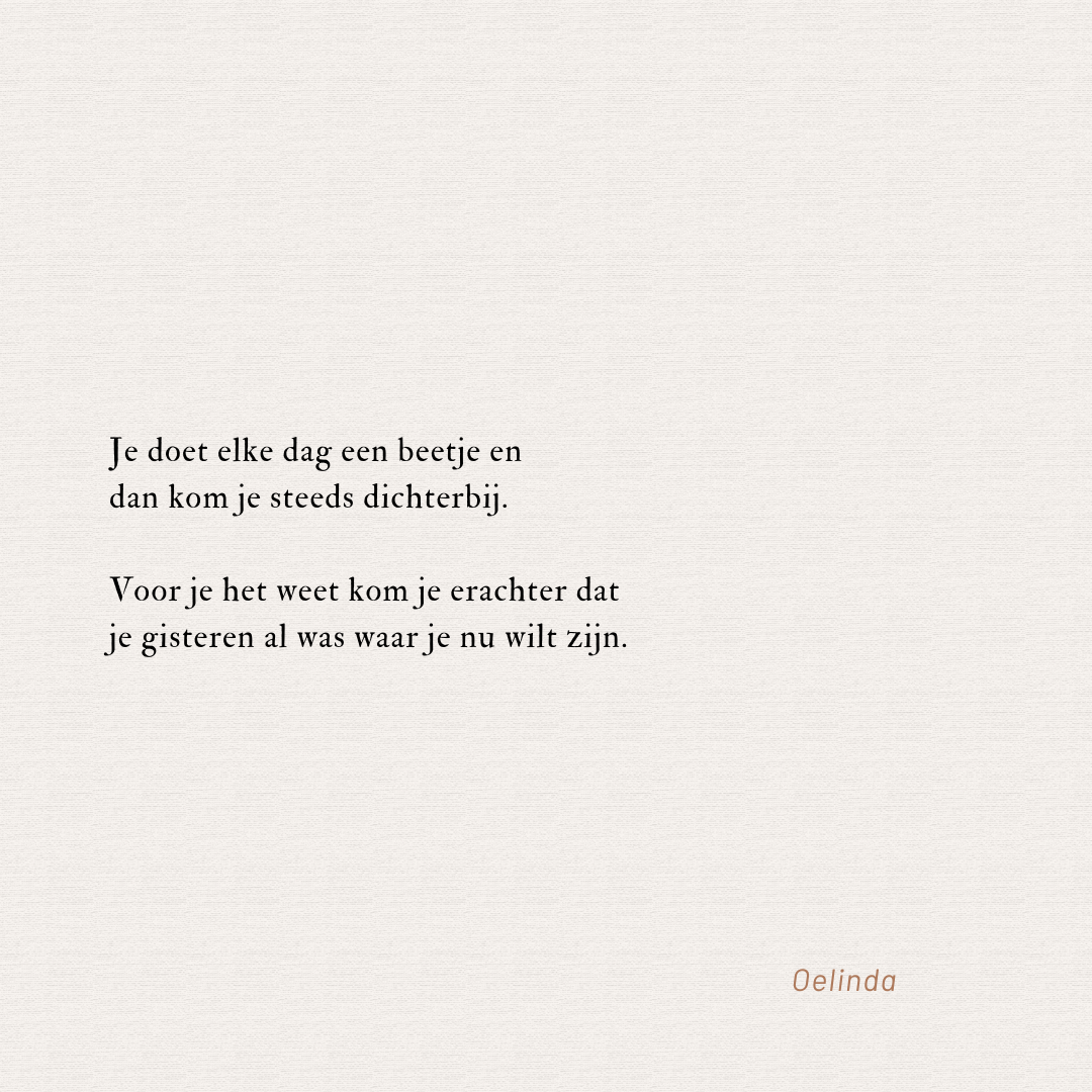 Je doet elke dag een beetje van Oelinda de Vries
