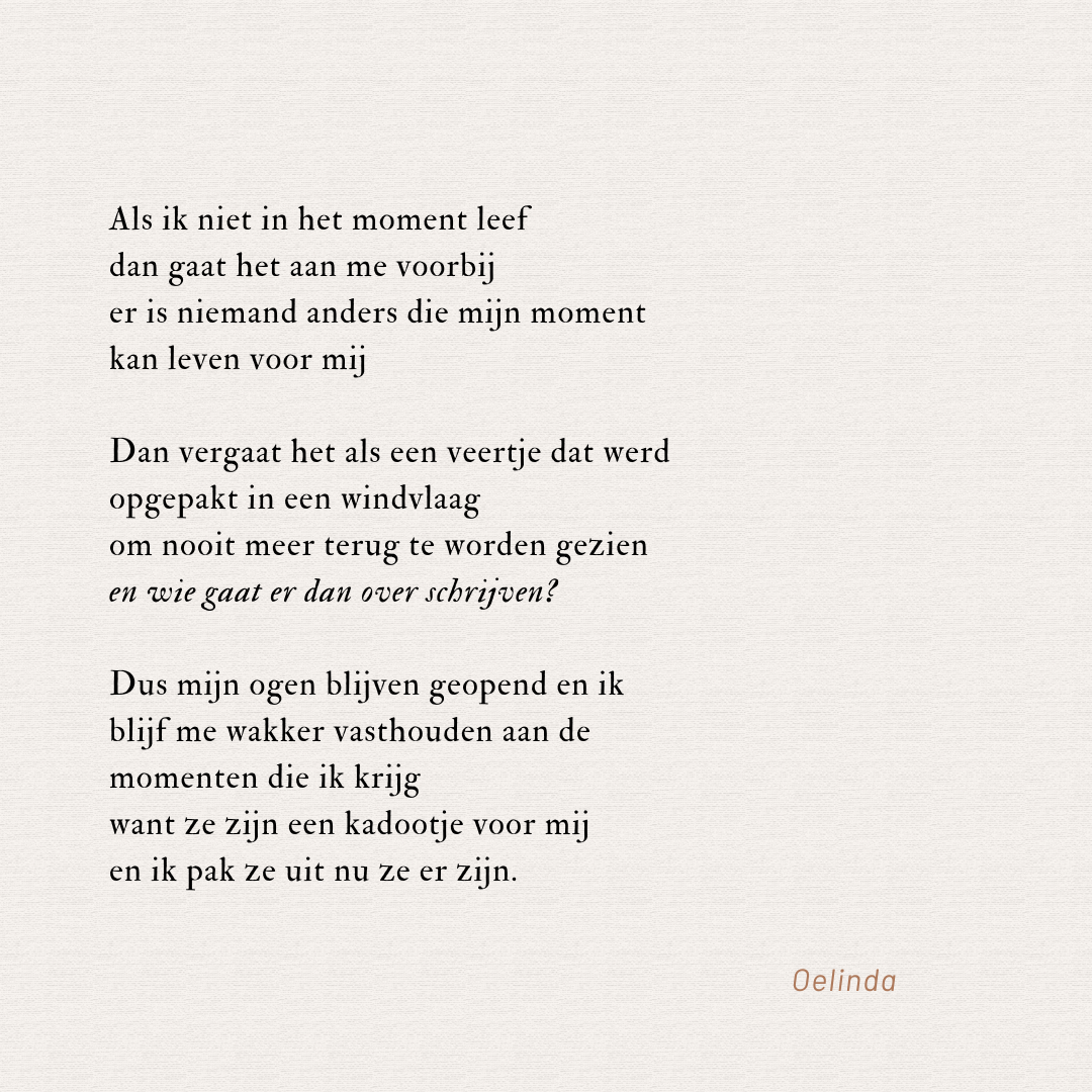 Als ik niet in het moment leef van Oelinda de Vries