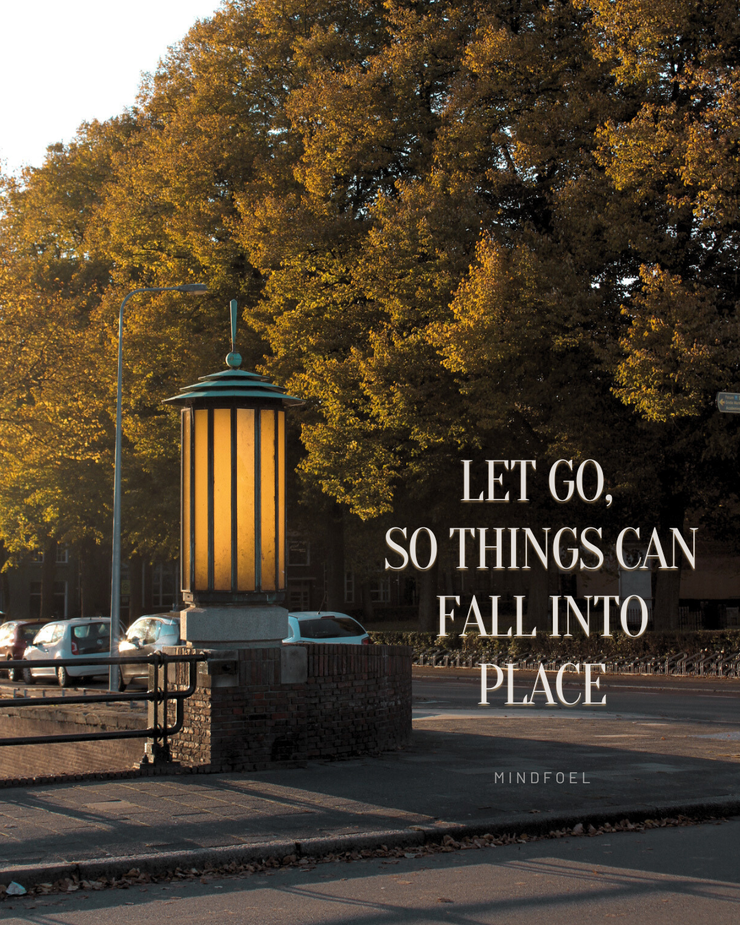 Let go, so things can fall into place van Oelinda de Vries